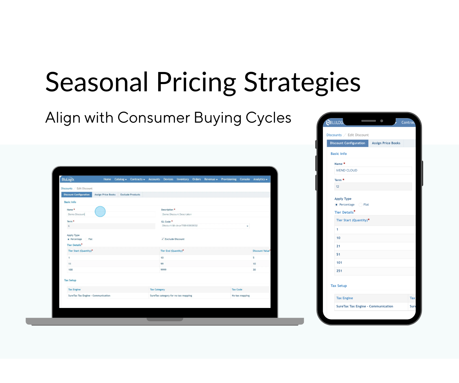 Seasonal Pricing Strategies