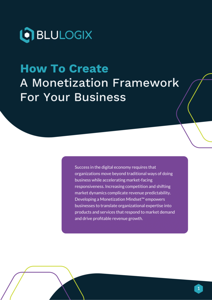 How to Create a Monetization Framework for Your Business BluLogix 01 724x1024