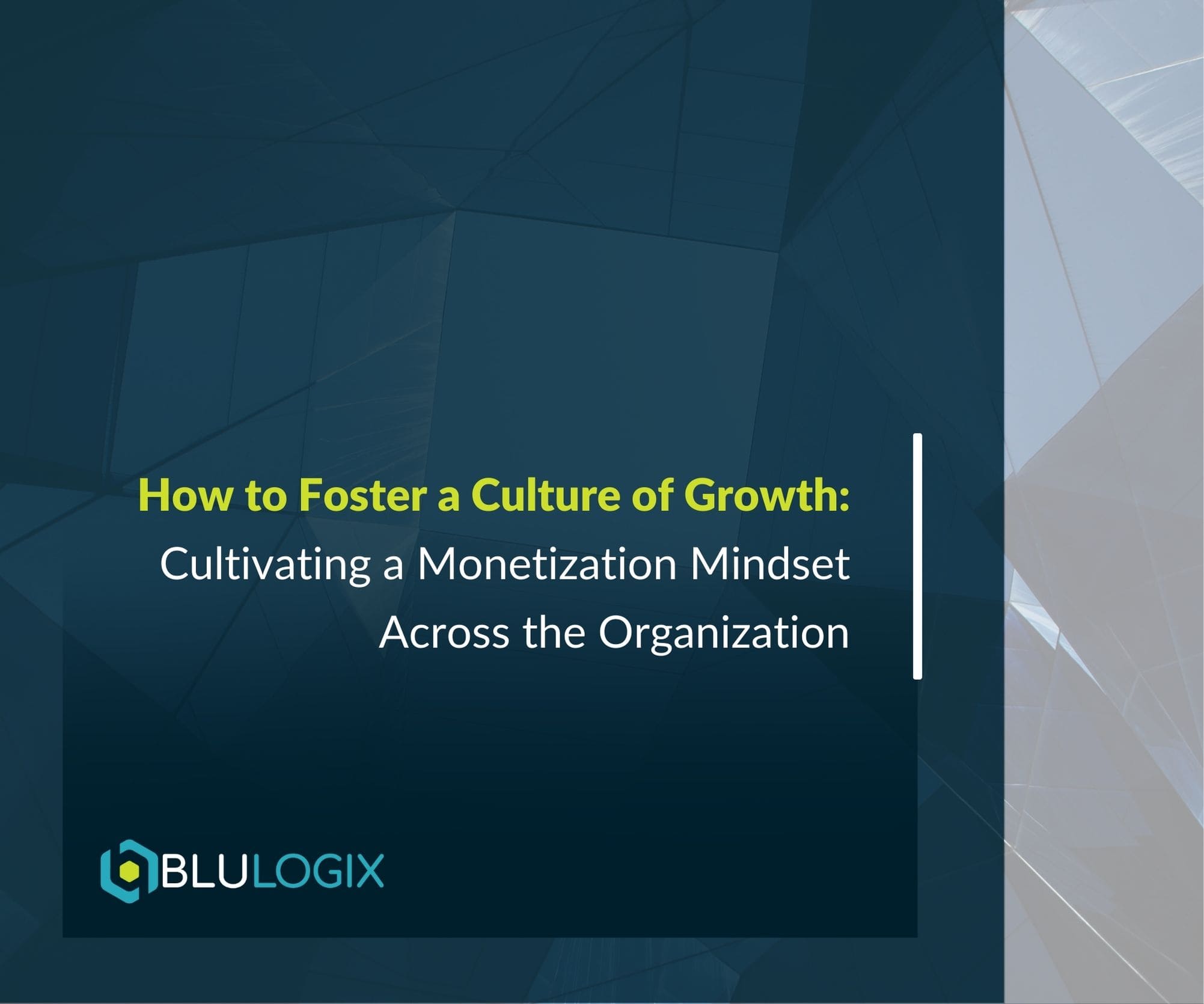 How to Foster a Culture of Growth Cultivating a Monetization Mindset Across the Organization