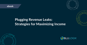 Plugging Revenue Leaks Strategies for Maximizing Income.png